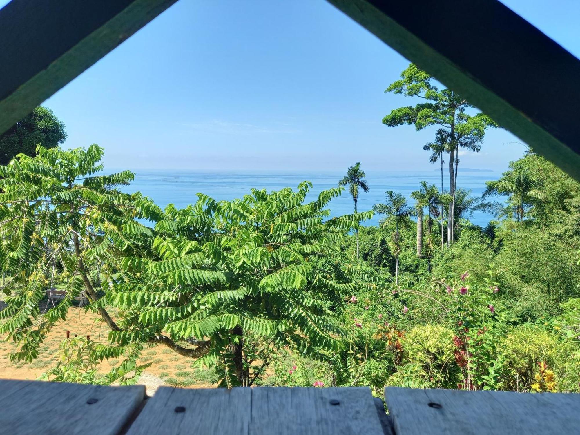 ホテル Bella Vista Corcovado Drakes Bay エクステリア 写真