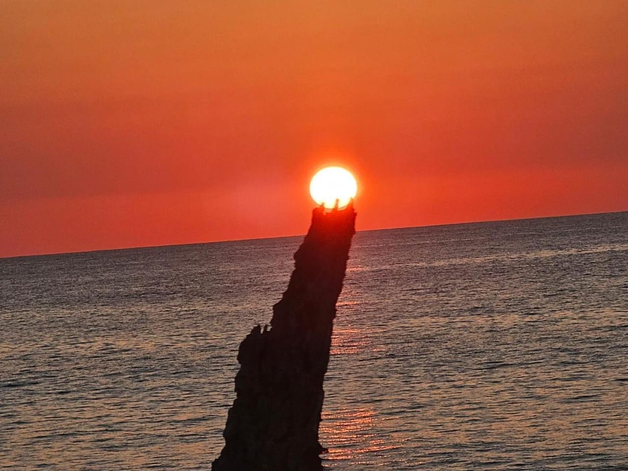 ホテル Bella Vista Corcovado Drakes Bay エクステリア 写真