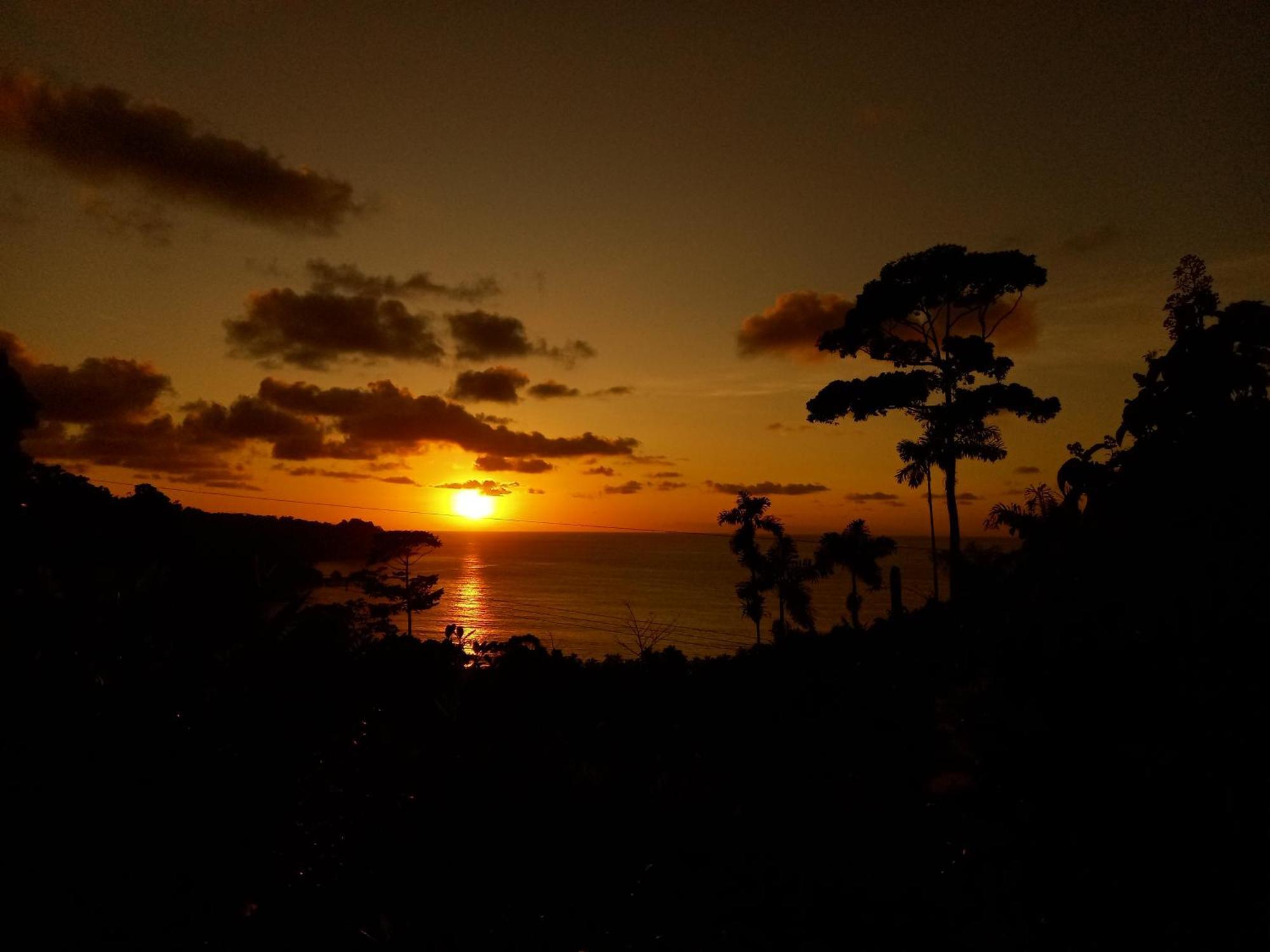 ホテル Bella Vista Corcovado Drakes Bay エクステリア 写真
