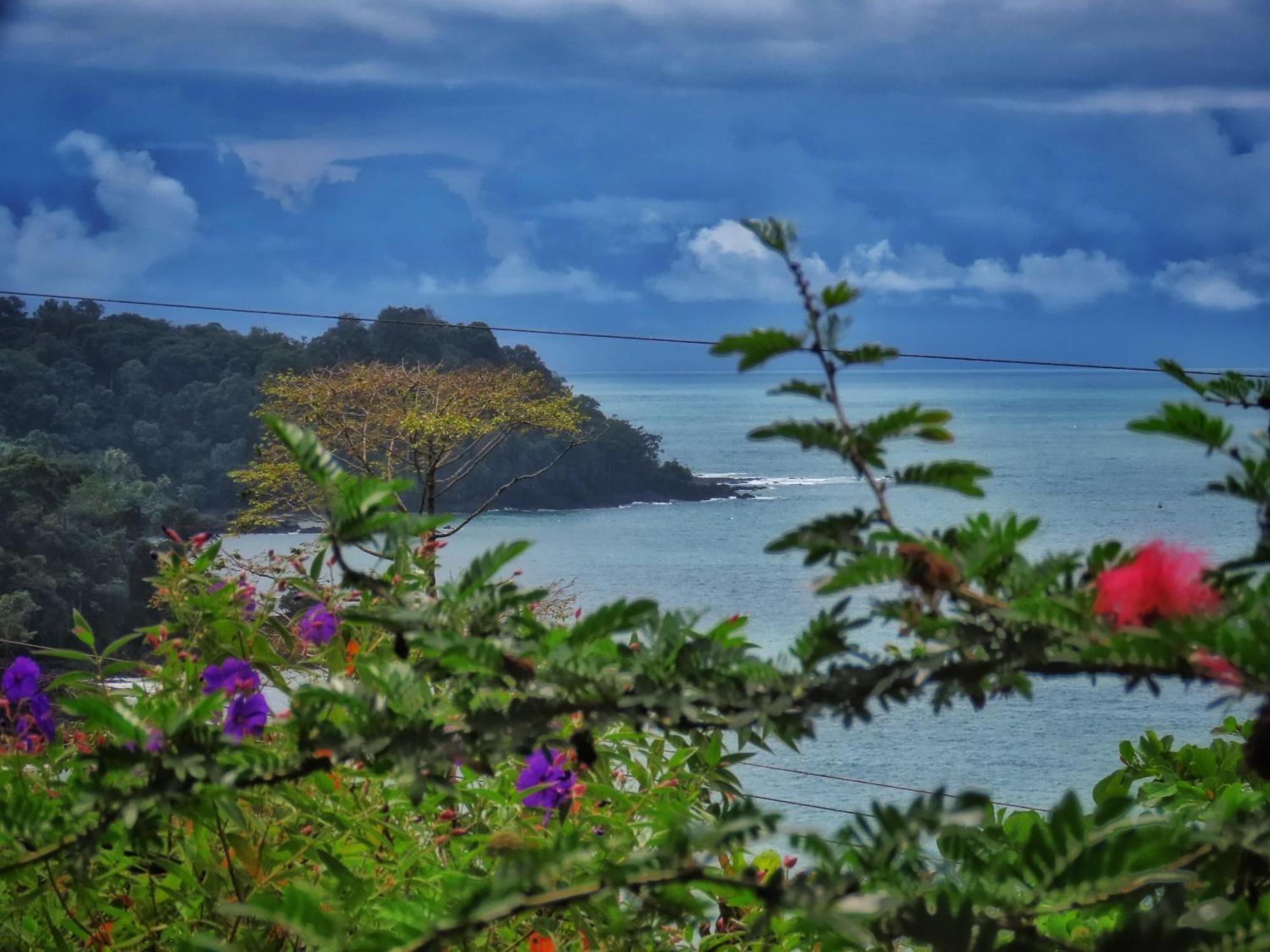 ホテル Bella Vista Corcovado Drakes Bay エクステリア 写真