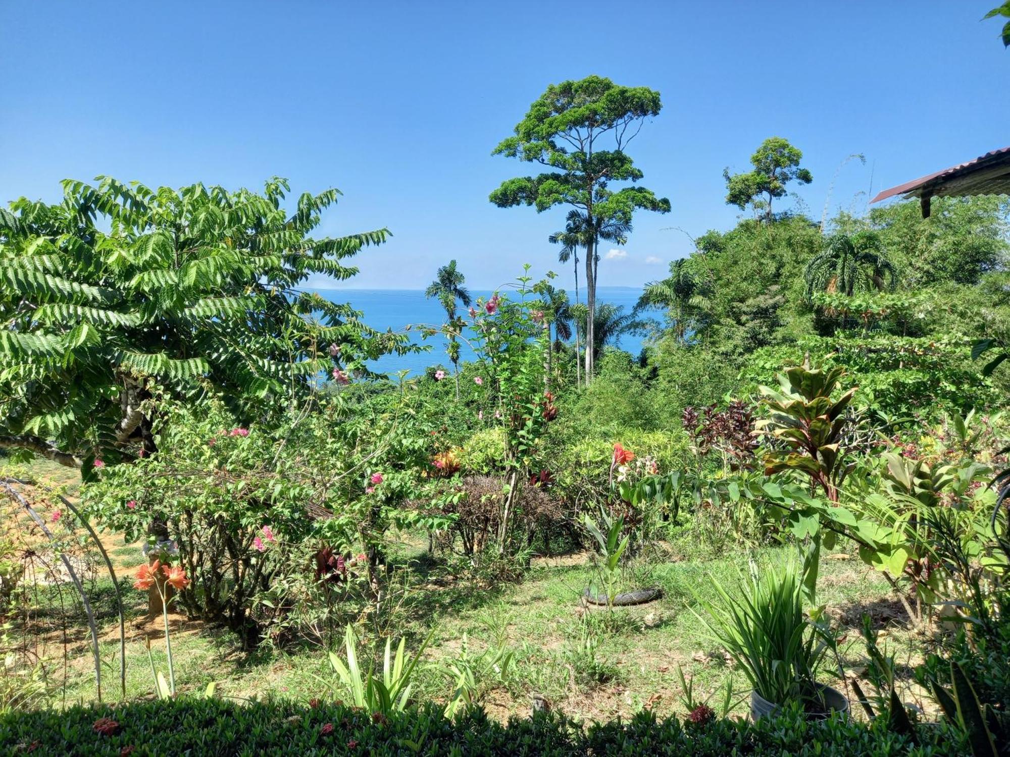 ホテル Bella Vista Corcovado Drakes Bay 部屋 写真