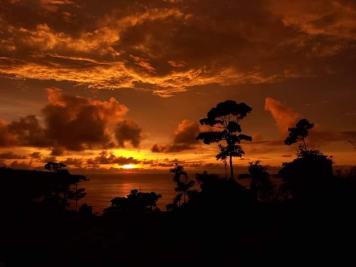ホテル Bella Vista Corcovado Drakes Bay エクステリア 写真