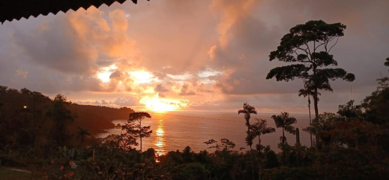 ホテル Bella Vista Corcovado Drakes Bay エクステリア 写真
