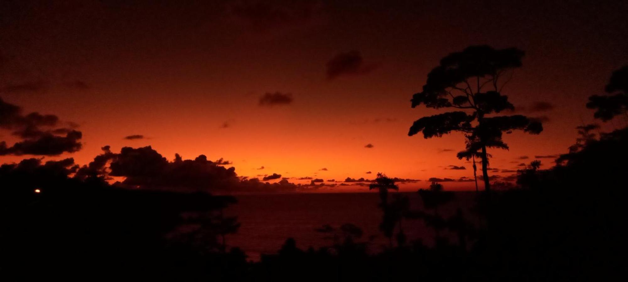ホテル Bella Vista Corcovado Drakes Bay エクステリア 写真