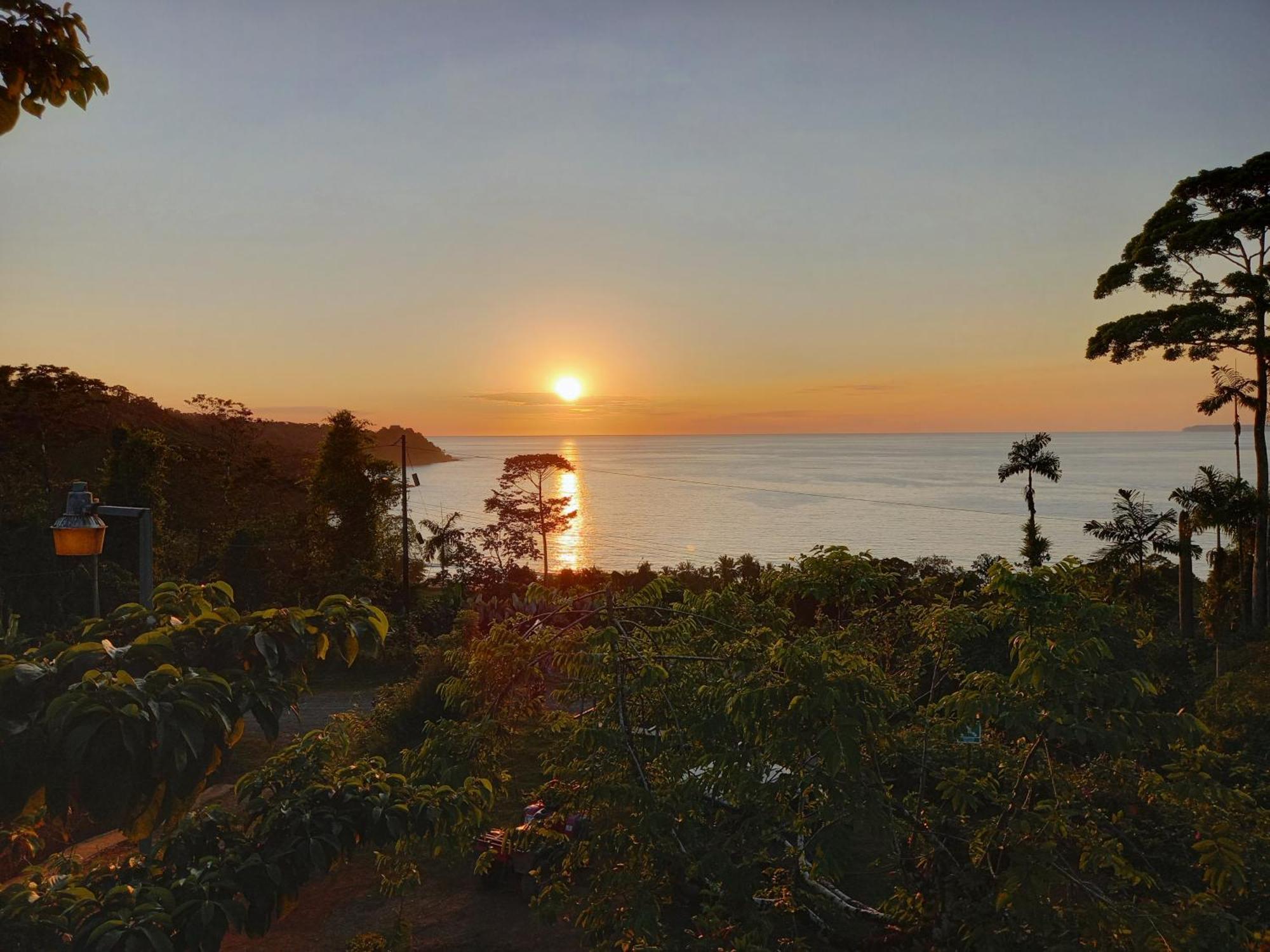 ホテル Bella Vista Corcovado Drakes Bay エクステリア 写真